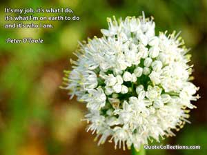 peter_o_toole_quotes Quotes 1